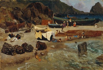 Fischerboote in Capri von Albert Bierstadt